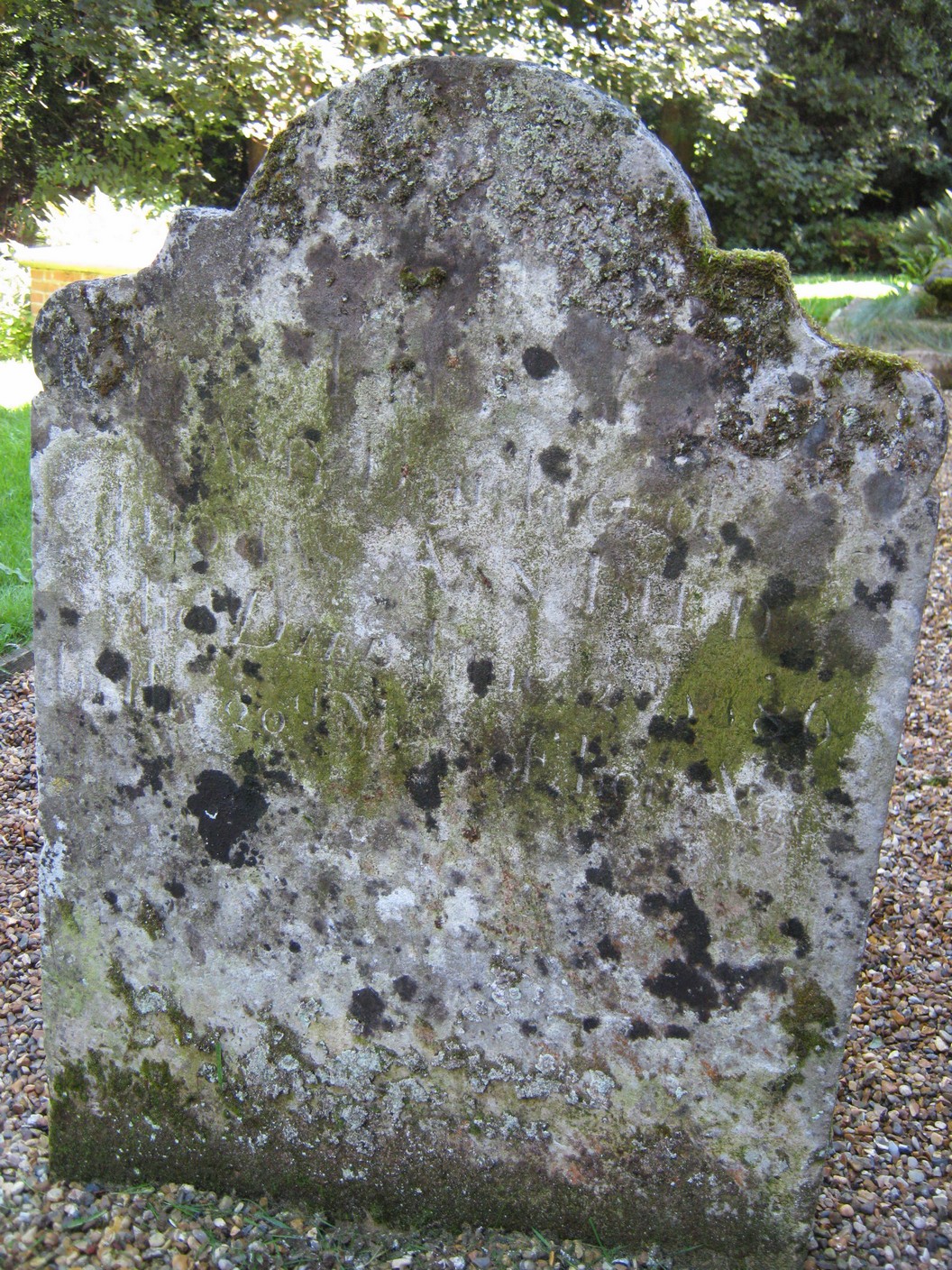 photo of grave for Amy Bird